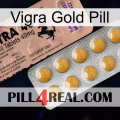 Vigra Gold Pill 41